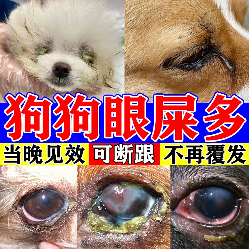 狗狗眼屎多专用眼药水必呢舒