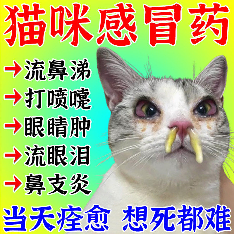 猫感冒药打喷嚏流鼻涕治疗猫瘟猫鼻炎鼻塞呼吸道感染猫鼻支特效药
