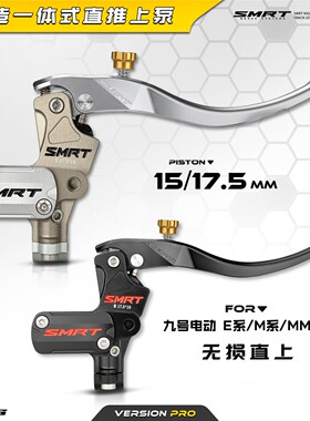SMRT M08 直推上泵 AE4电自电摩AE5ipro 小牛NXT FXT 九号机械师2