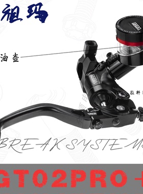 瑞祖玛GT02PRO+直推上泵小牛NXT/FX/N1S九号Mz/E80E/E200P