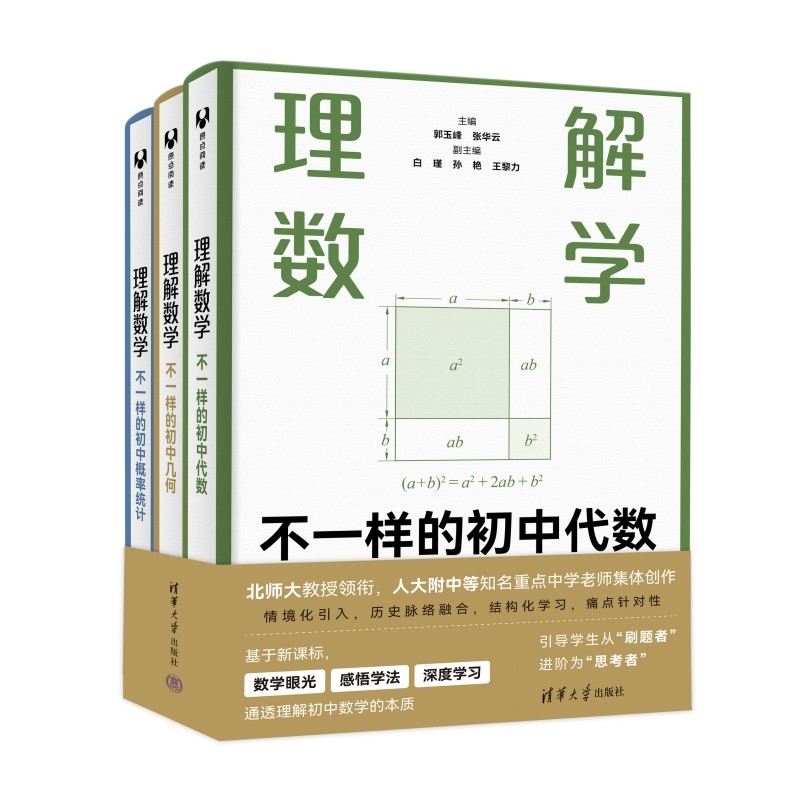 理解数学全三册 北师大教授领衔人大附中老师等知名重点中学老师集体创作 理解数学不一样的数学 - 实物图