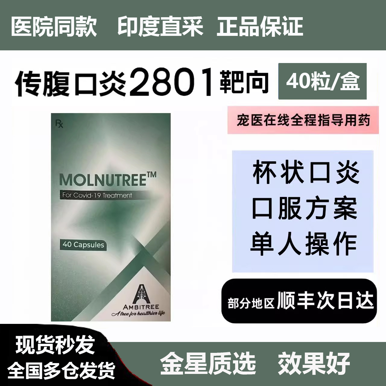 印度进口2801冠状传腹杯状口炎