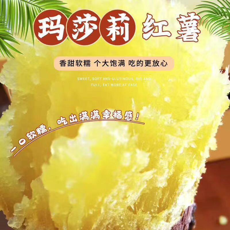 蜜薯玛莎莉云南红薯软糯甜图片