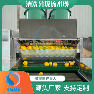 果蔬清洗分级流水线大脐橙分级机 果冻橙沃柑果蔬分级分拣机设备