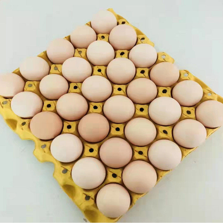 纸浆成型机  鸡蛋托机 纸浆模塑设备鸡蛋壳机械