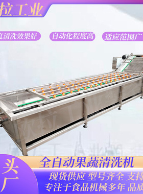 欧拉 海带清洗机 气浪翻滚 高压喷淋 不锈钢材质 清洗流水线