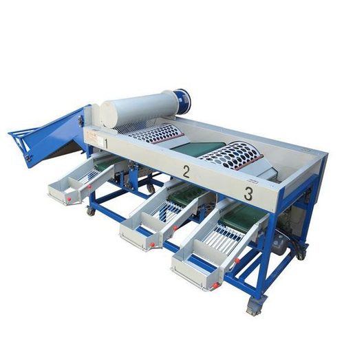 新款大蒜 独头蒜洋葱分级机 耗电低分选精准