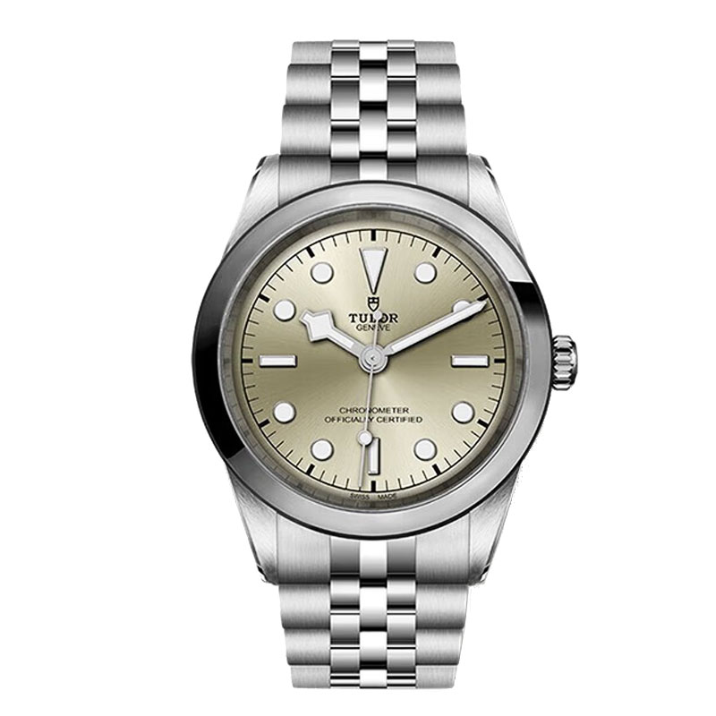 瑞士帝舵碧湾系列100米防水自动机械男士腕表41mm盘钢带夜光手表