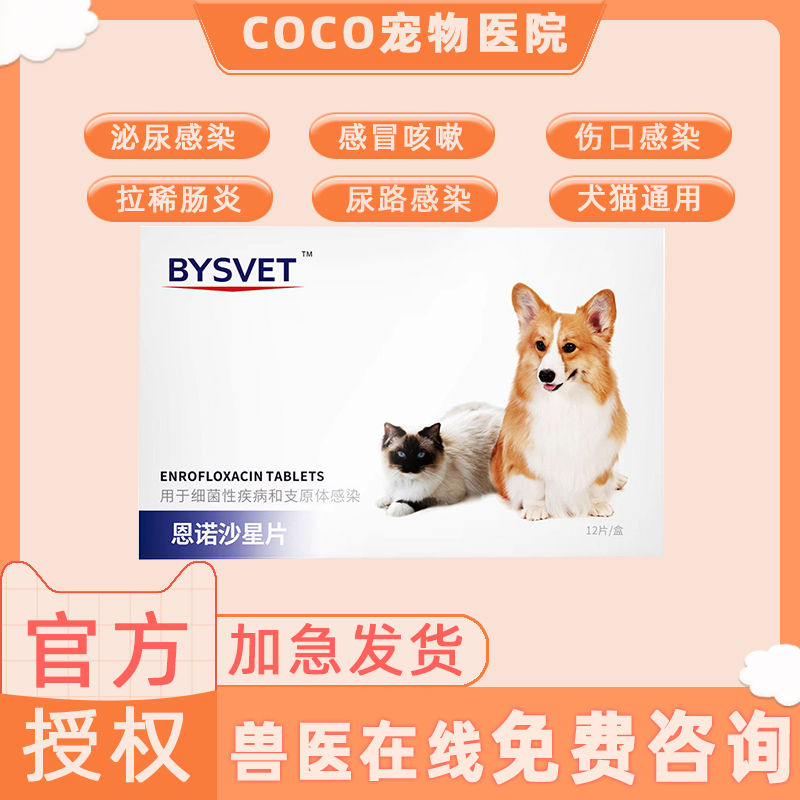 白云山恩诺沙星片尿路感染泌尿