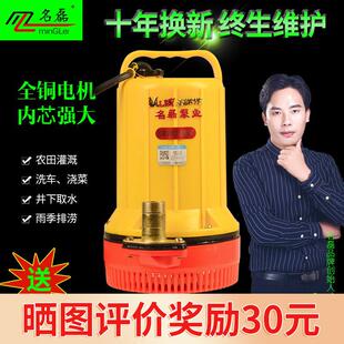 名磊直流潜水泵48V24V12V塑胶外壳电动车水泵浇菜地灌溉抽水机