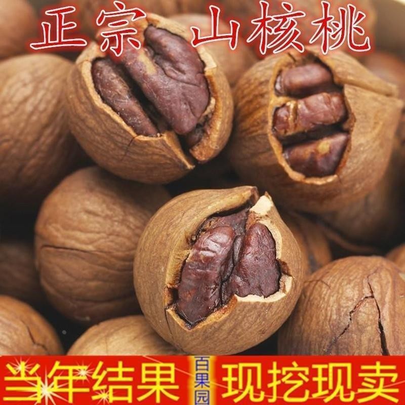 临安核桃苗 临安小山核桃苗 核桃大小苗 果树苗 挂果山核桃苗当年