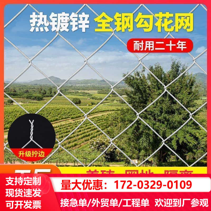 热镀锌钢丝勾花网养殖鸡鸭铁丝网拦牛羊果园围网养狗菱形网隔离网