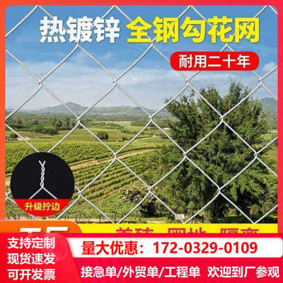 热镀锌钢丝勾花网养殖鸡鸭铁丝网拦牛羊果园围网养狗菱形网隔离网