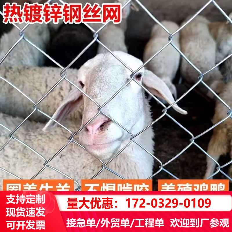 热镀锌铁丝网养殖勾花网围栏养鸡牛羊围栏网钢丝网果园防锈防护网