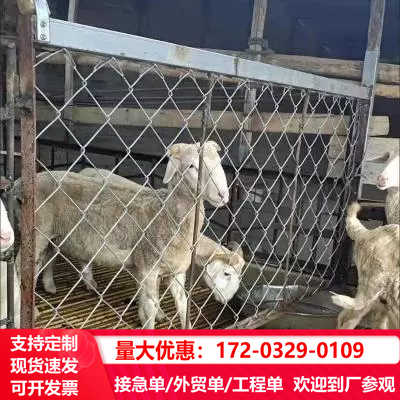 钢丝网铁丝网果园勾花网