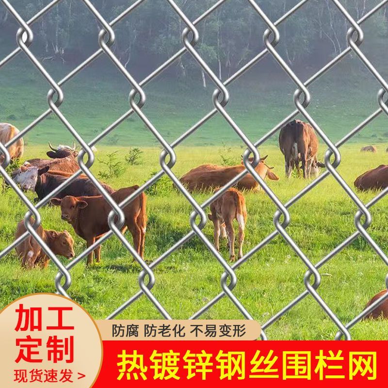 热镀锌铁丝网养鸡牛羊加粗围栏