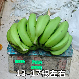 广东茂名高州本地新鲜采摘农家香蕉自种高山甜香蕉青皮大香蕉大个