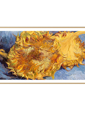 Skyworth/创维 85A7H Pro聚合链接