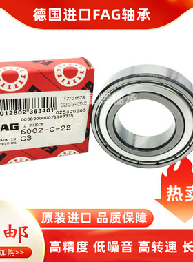 FAG德国进口轴承6309 310 6311 6312 6313 6314 6315 63162RS 2ZR