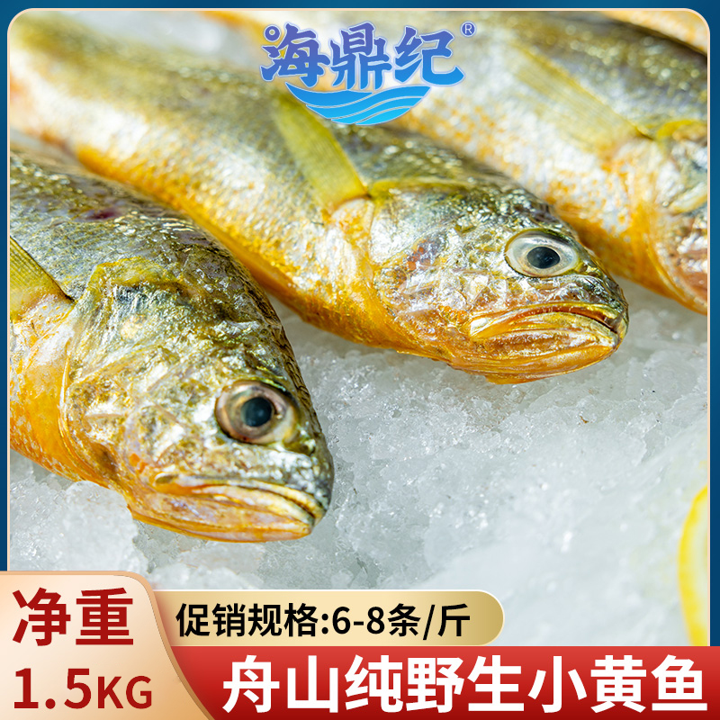 海鼎纪旗舰店舟山小黄鱼新鲜速冻烧烤生鲜3斤(500g/袋*3袋）-封面