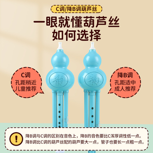 小D调专业演奏型胡芦丝乐器初学者 葫芦丝小学生专用儿童C调降B调
