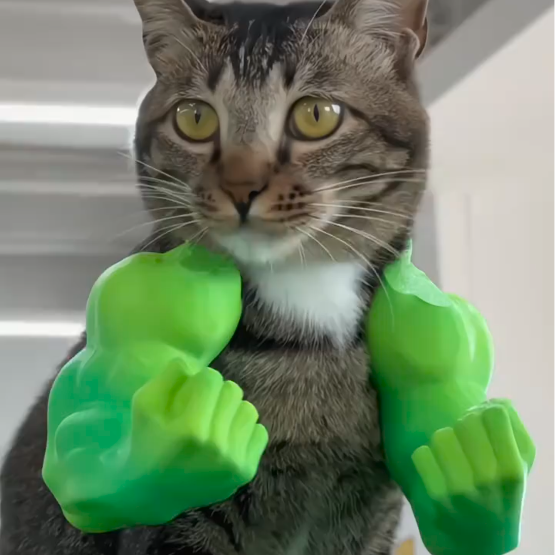 猫咪cosplay手臂立体衣服猫咪创意玩具3d打印搞怪搞笑宠物用品