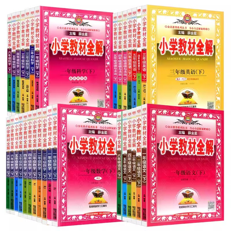 薛金星小学教材全解六年级