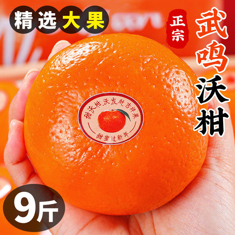 正宗广西沃柑高山皇帝橘子新鲜大果无有核薄皮柑橘桔当季整箱蜜桔