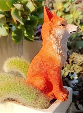 九尾狐狸多肉花盆景装饰摆件户外微景观猴尾柱造景白色小狐狸尾巴