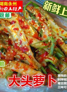 大头萝卜 大头菜   香辣爽口 湖南永州 凤儿新田特产