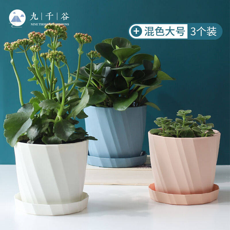 九千谷欧式简约创意花盆三色混装大号3个装九里香文竹红掌绿萝花属于什么档次？