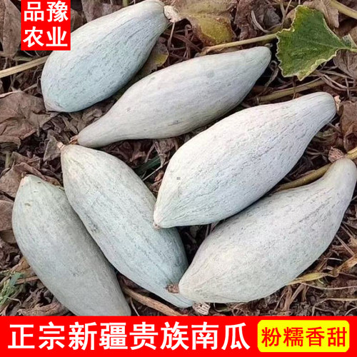 新疆贵族南瓜正宗粉糯香甜沙漠银板栗老南瓜9斤宝宝辅食贝贝南瓜