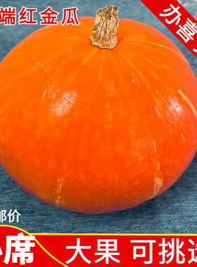 板栗味南瓜海南红皮南瓜【摆件】