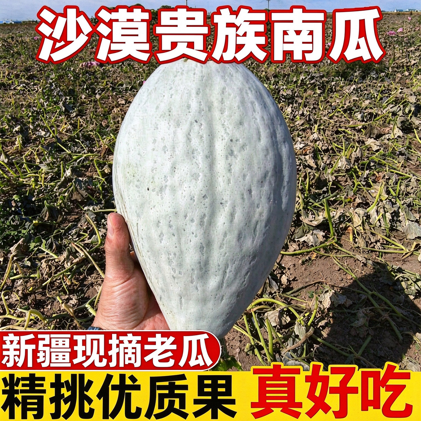 新疆贵族南瓜沙漠银板栗老南瓜宝宝辅食非贝贝南瓜产地直发9斤装