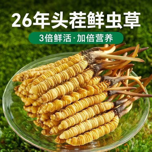 匀康堂正宗头茬冬虫夏草礼盒
