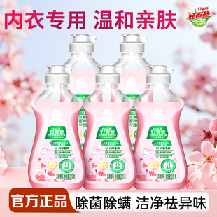 立白好爸爸内衣专用洗衣液除菌去血渍樱花香内衣裤清洗液官方正品