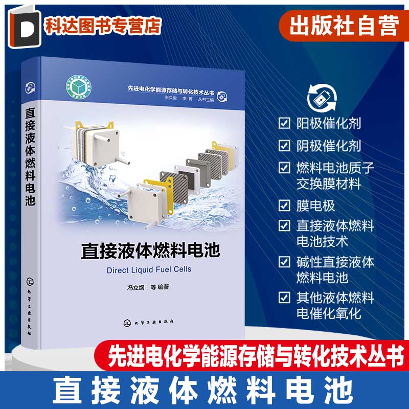 先进电化学能源存储与转化技术丛书 直接液体燃料电池 电化学 催化剂 质子交换膜 膜电极技术 电池集体成及应用 碱性燃料电池技术