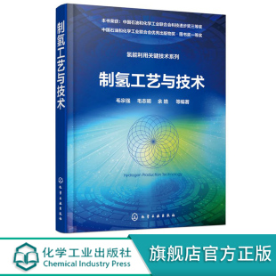 制氢技术书籍 工程技术人员参考 零CO2排放制氢技术方法 可供从事能源研究 高等学校相关专业教材书籍 制氢工艺 制氢工艺与技术