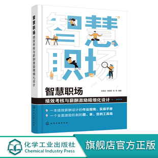 薪酬激励设计图表范例工具书 智慧职场 绩效考核实操手册 绩效考核作业指南 绩效薪酬应用设计手册 绩效考核与薪酬激励精细化设计