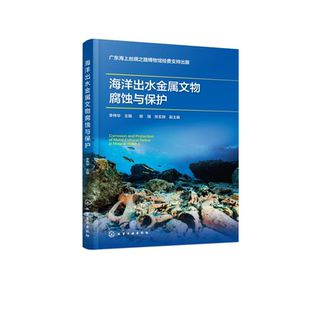 南海I号 金属文物 金属文物除锈方法 海洋出水金属文物缓蚀技术 封护技术 金属文物有害盐脱除方法 海洋出水金属文物腐蚀与保护