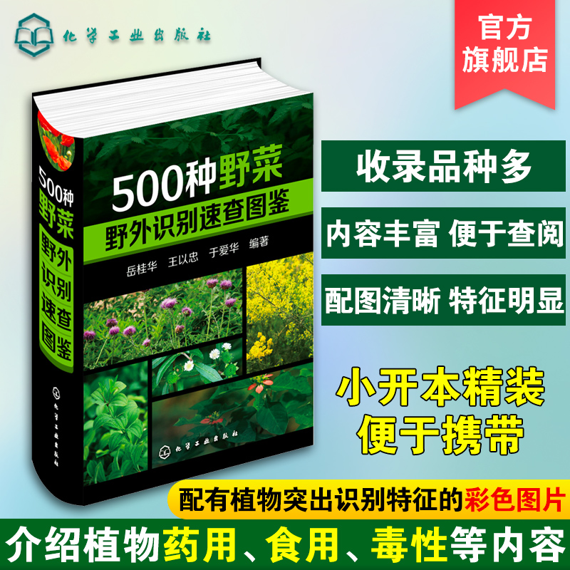 中医草药材识别图大全