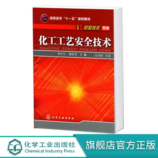 危险化学物质 安全技术系列 典型工艺流程安全技术 化工工艺生产安全基础知识 化工安全高职高专十一五规划教材 化工工艺安全技术