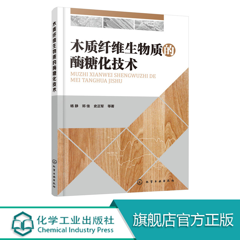 木质纤维生物质的酶糖化技术 纤维素酶结构特性书籍 纤维素酶制备 高浓度木质纤维生物质酶糖化技术与应用 生物材料研发书籍