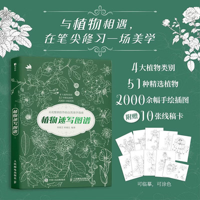 植物速写图谱 植物手绘速写教程植物插画自然美学临摹线稿 植物图谱插画素材写生 从观察到写作的自然美学指南