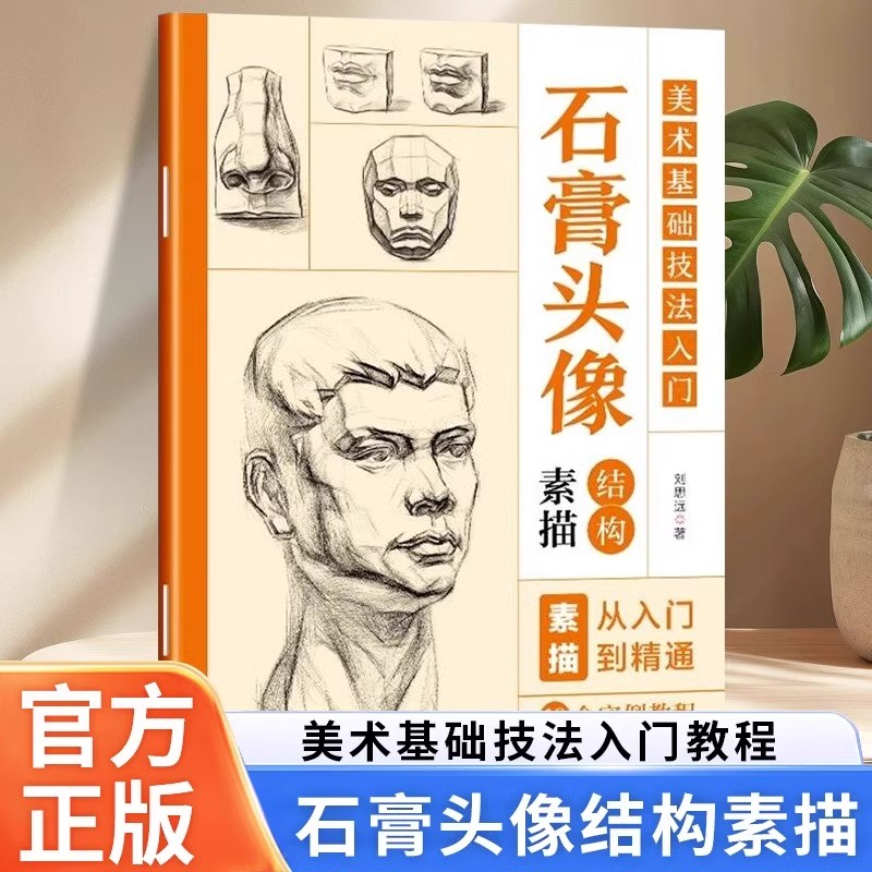 石膏头像结构素描 美术基础技法入门教程书籍零基础自学素描从入门到精通五官面部人体头部伏尔泰高尔基石膏素描绘画技法教程书籍