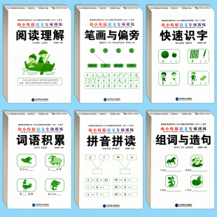 全套6册 拼音拼读笔画偏旁幼小衔接教材全套幼儿园整合教材大中学前班一年级语文专项训练练习册学前教育语文专项训练一日一练