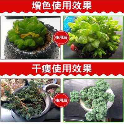 【开爆盆】植物通用型营养液室内水培喜酸性养花盆栽绿萝专用肥料