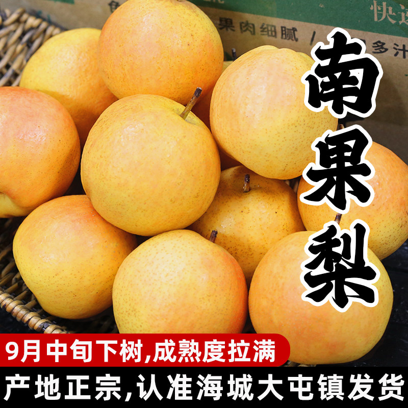 辽宁鞍山南果梨孕妇小孩新鲜水果
