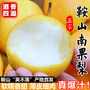 正宗鞍山南果梨海城南国梨安果梨子孕妇吃新鲜香梨软梨子东北特产