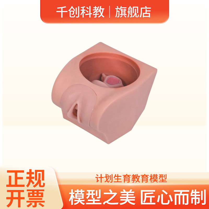 计划生育教育模型透明子宫三体位前倾水平后倾腹壁柔软双合诊训练阴道隔膜宫内避孕器泡沫海绵放置取出教学具